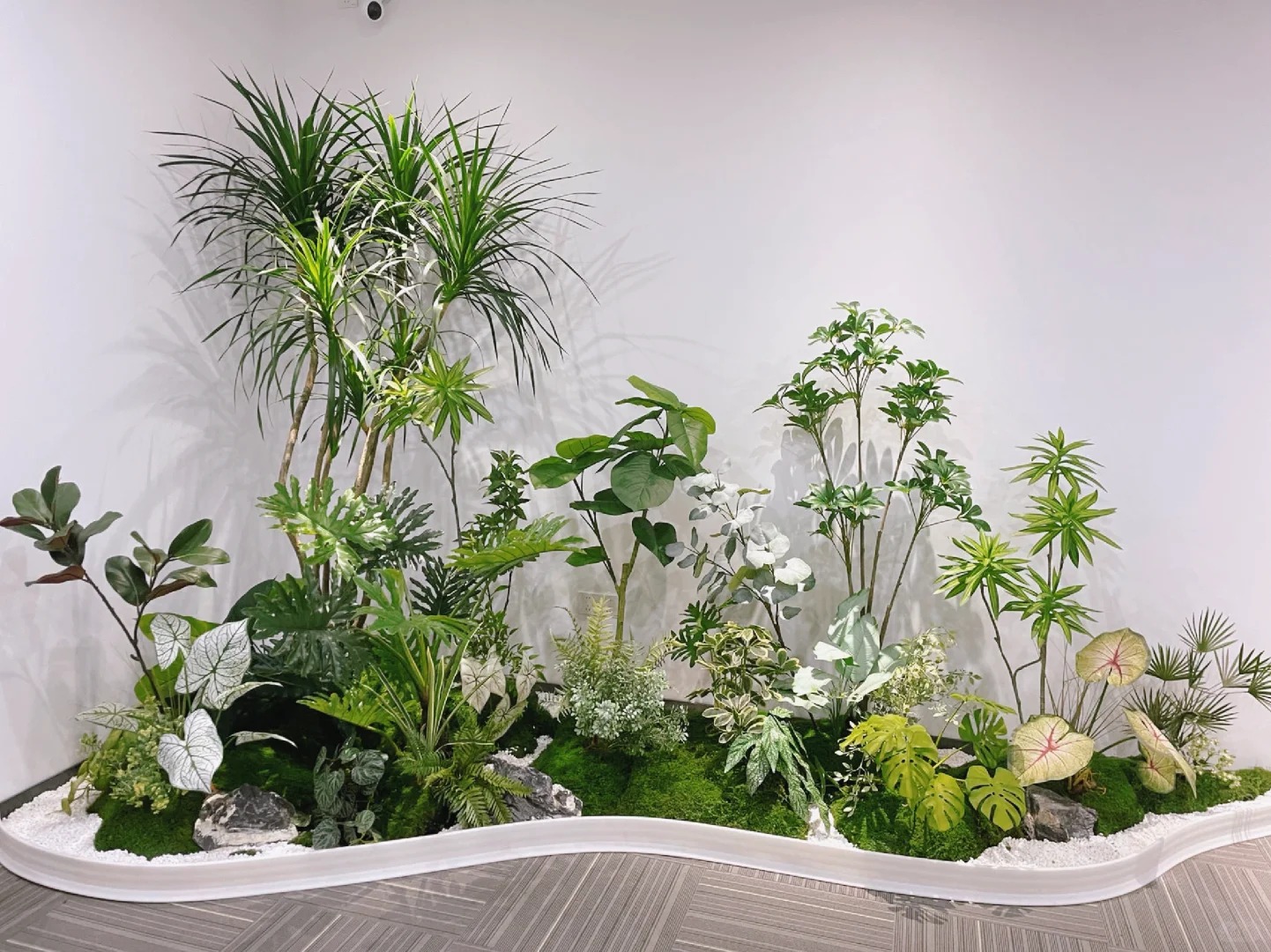 专业花卉租赁，宁波鄞州的绿色贴心之选